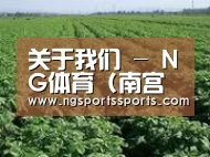 种植基地五