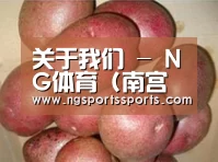 产品展示标题1