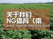 种植基地五(图1)