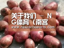 产品展示标题5(图1)